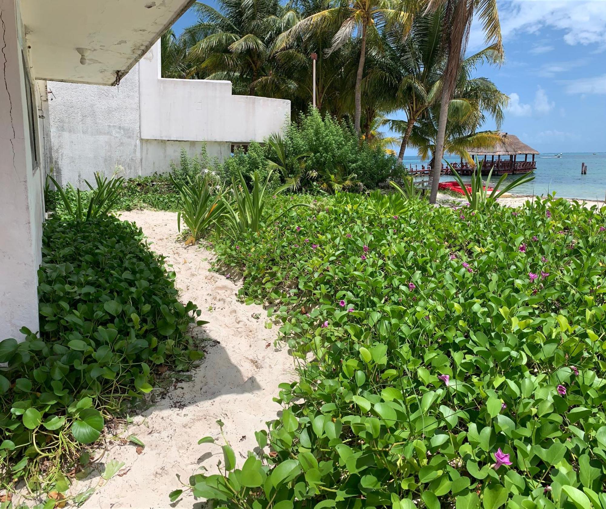 Ocean View Private Beach Cancun Exterior photo